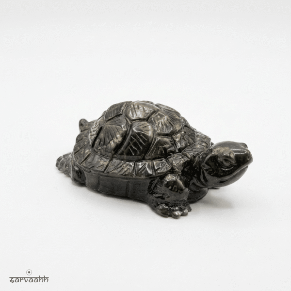Vastu Pyrite Turtle