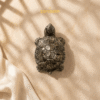 Vastu Pyrite Turtle