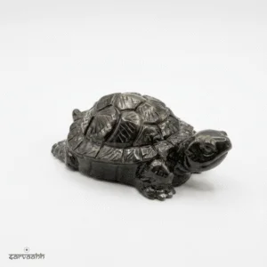 Vastu Pyrite Turtle