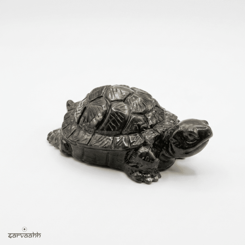Vastu Pyrite Turtle